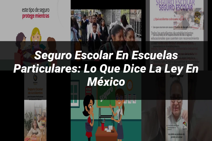 "Seguro escolar en escuelas particulares: lo que dice la ley en México"