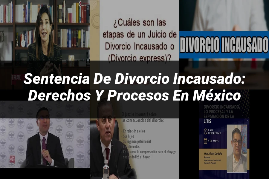 "Sentencia de divorcio incausado: derechos y procesos en México"