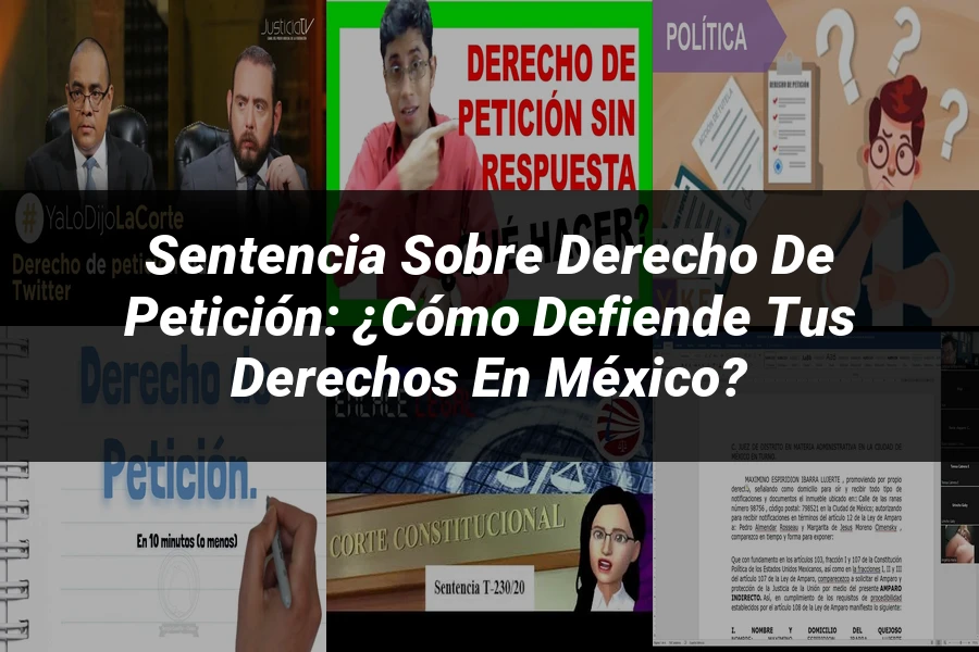 "Sentencia sobre Derecho de Petición: ¿Cómo Defiende tus Derechos en México?"