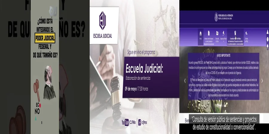 "Sentencias del Poder Judicial Federal y sus Efectos en México"