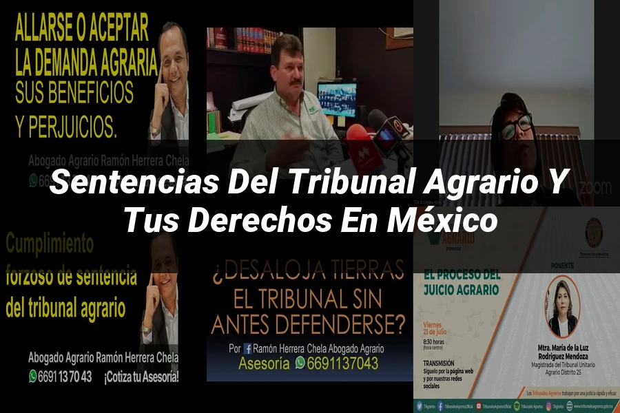 "Sentencias del tribunal agrario y tus derechos en México"
