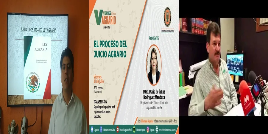 "Sentencias del tribunal agrario y tus derechos en México"