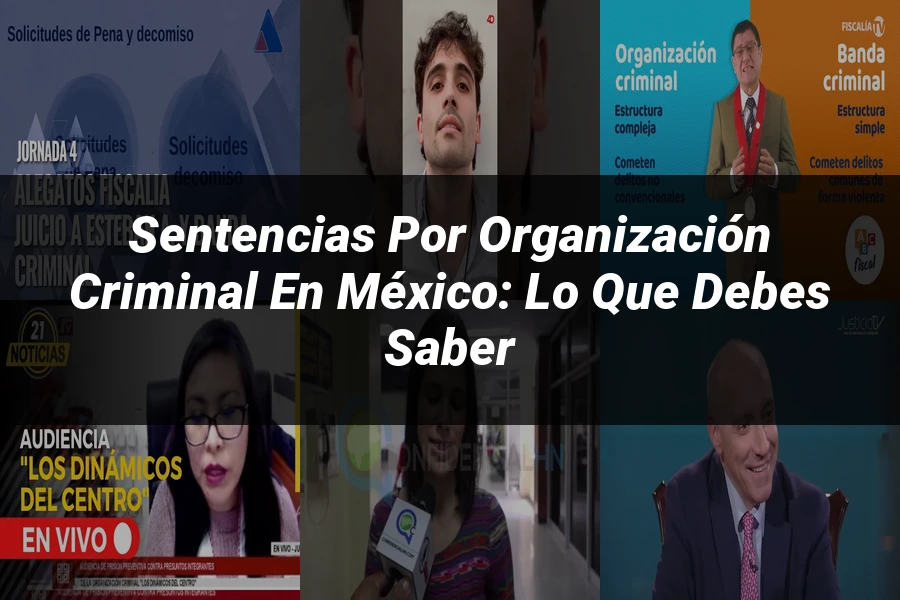 "Sentencias por Organización Criminal en México: Lo que Debes Saber"