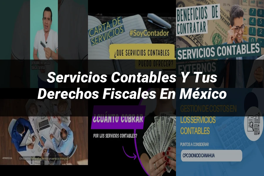 "Servicios contables y tus derechos fiscales en México"