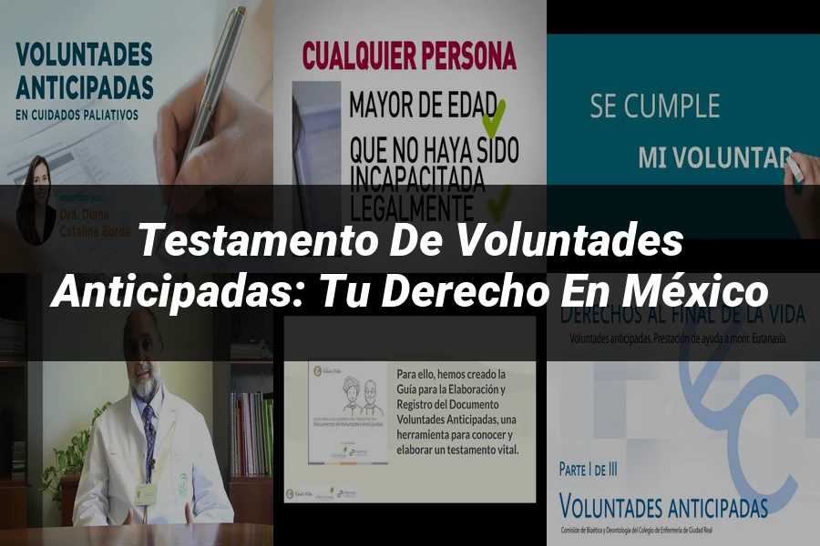 "Testamento de Voluntades Anticipadas: Tu Derecho en México"