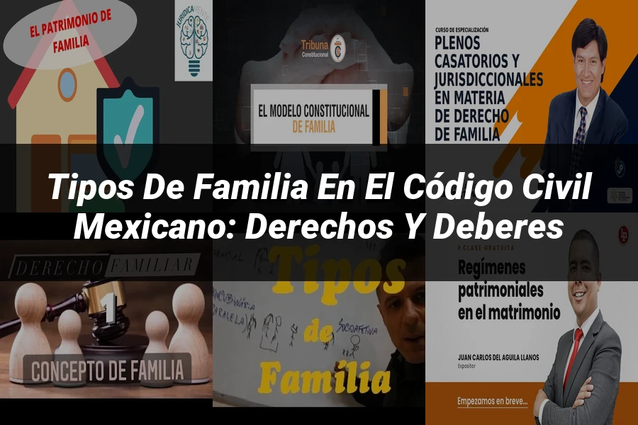 "Tipos de Familia en el Código Civil Mexicano: Derechos y Deberes"