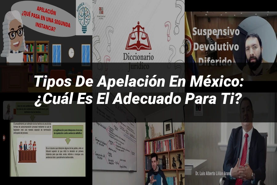 "Tipos de apelación en México: ¿Cuál es el adecuado para ti?"