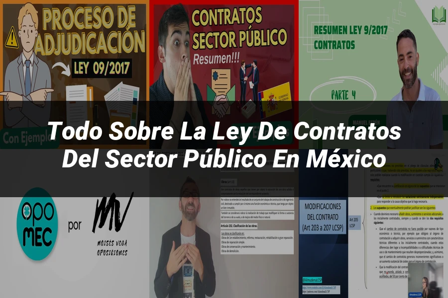 "Todo Sobre la Ley de Contratos del Sector Público en México"