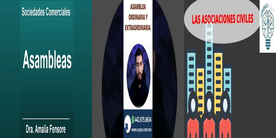 "Todo lo que Debes Saber sobre Asambleas Civiles en México"
