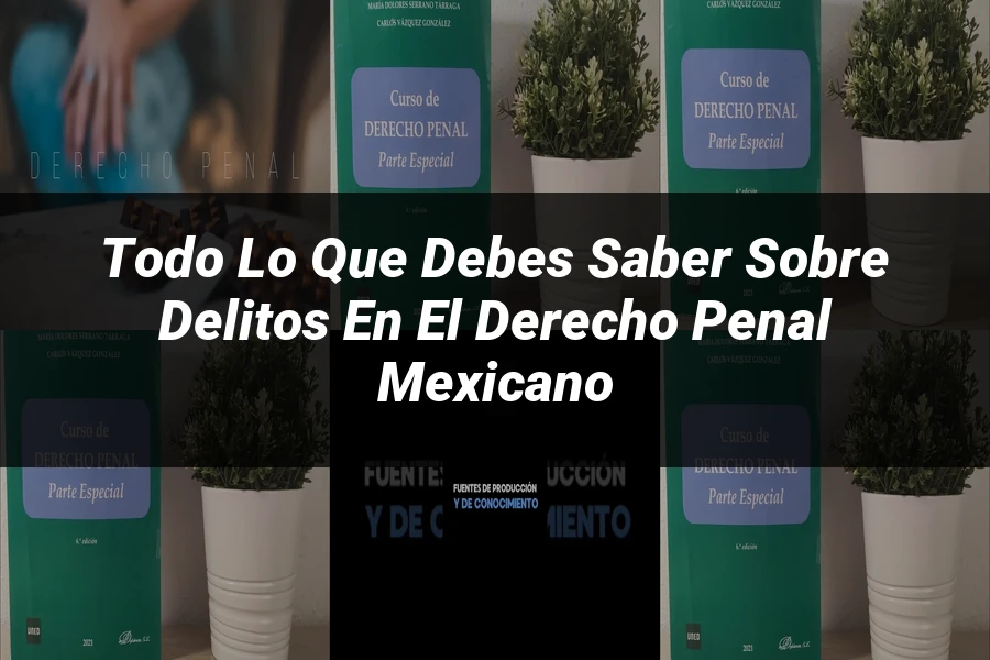 "Todo lo que Debes Saber sobre Delitos en el Derecho Penal Mexicano"