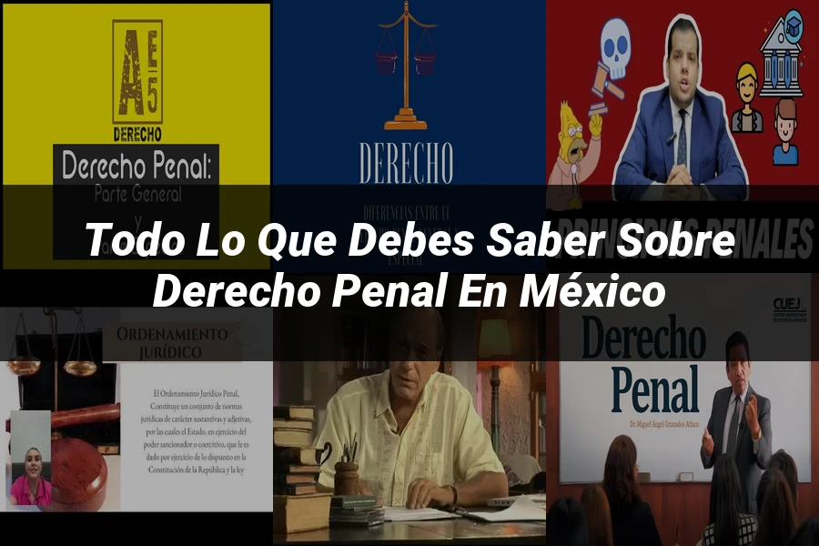 "Todo lo que Debes Saber sobre Derecho Penal en México"