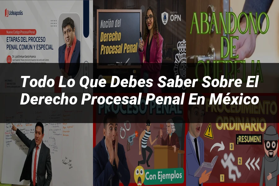 "Todo lo que Debes Saber sobre el Derecho Procesal Penal en México"