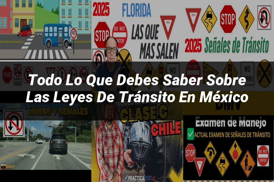 "Todo lo que Debes Saber sobre las Leyes de Tránsito en México"