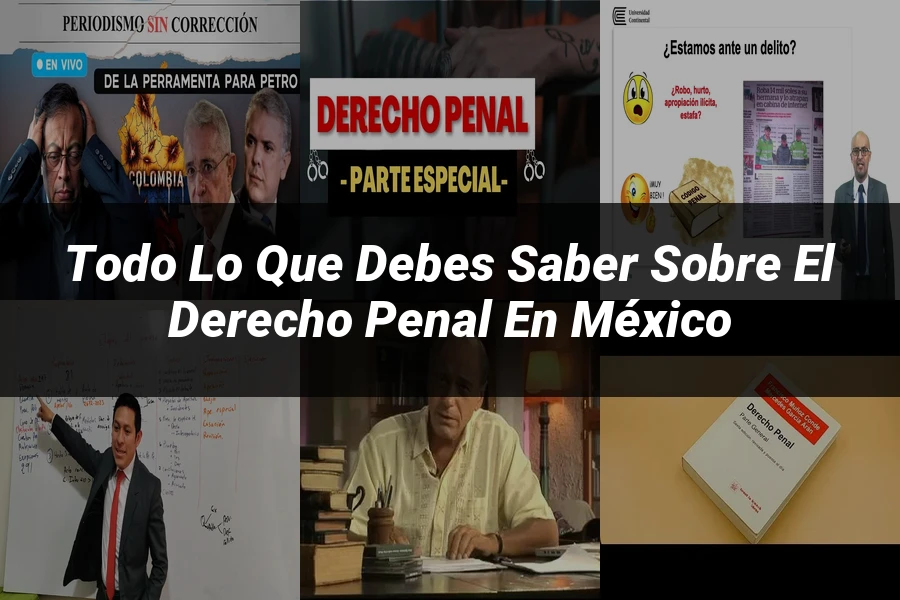 "Todo lo que debes saber sobre el Derecho Penal en México"