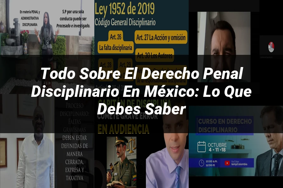 "Todo sobre el Derecho Penal Disciplinario en México: Lo que Debes Saber"