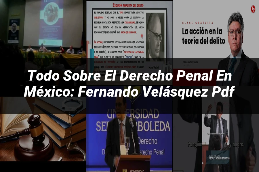 "Todo sobre el Derecho Penal en México: Fernando Velásquez PDF"