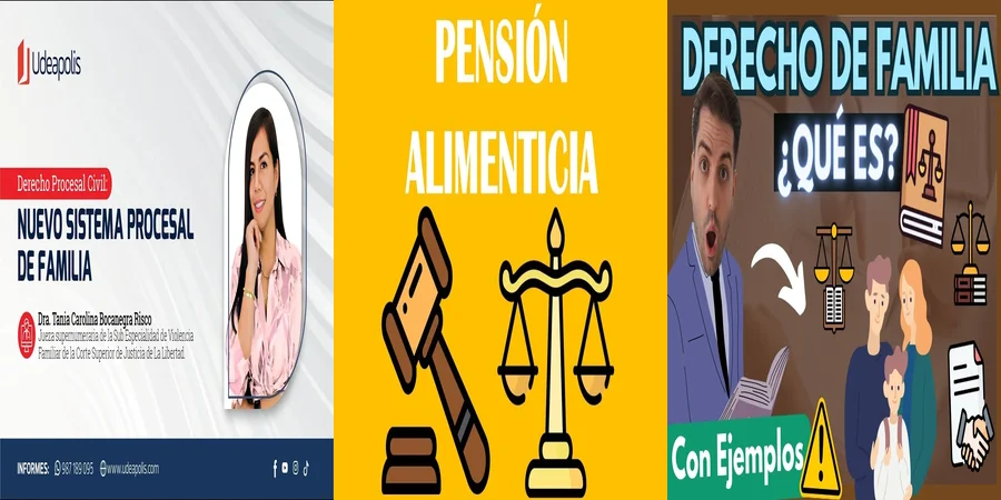 "Todo sobre el Divorcio en México: Derechos y Obligaciones"