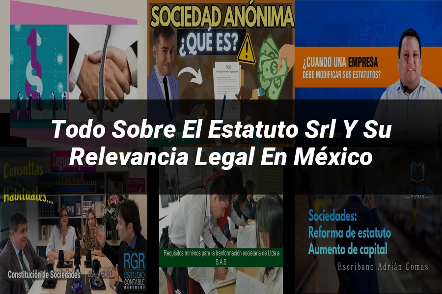 "Todo sobre el Estatuto SRL y su Relevancia Legal en México"