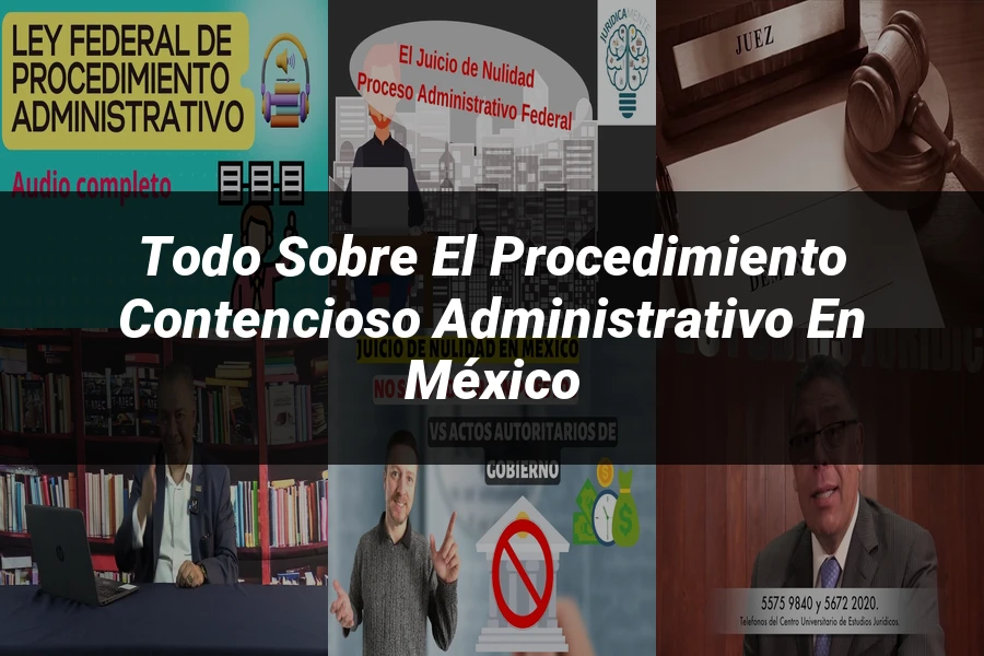 "Todo sobre el Procedimiento Contencioso Administrativo en México"