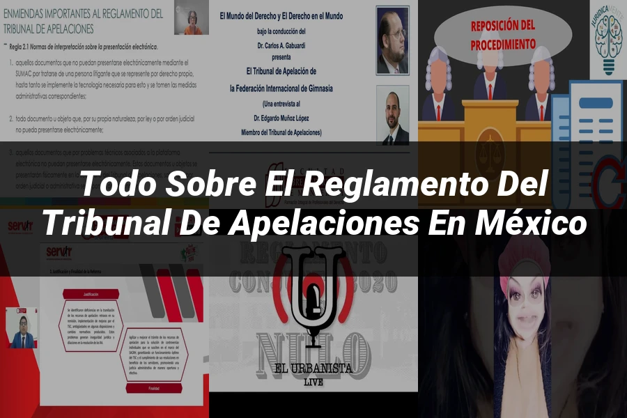 "Todo sobre el Reglamento del Tribunal de Apelaciones en México"