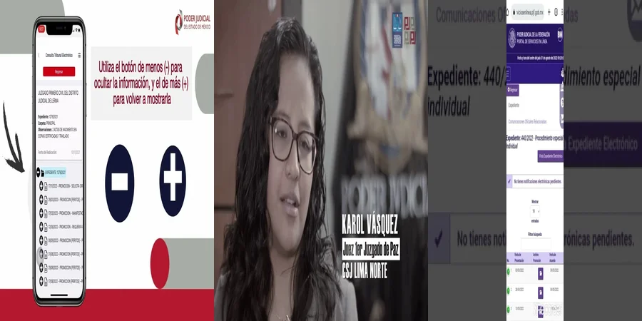 "Todo sobre el expediente virtual en el poder judicial de México"