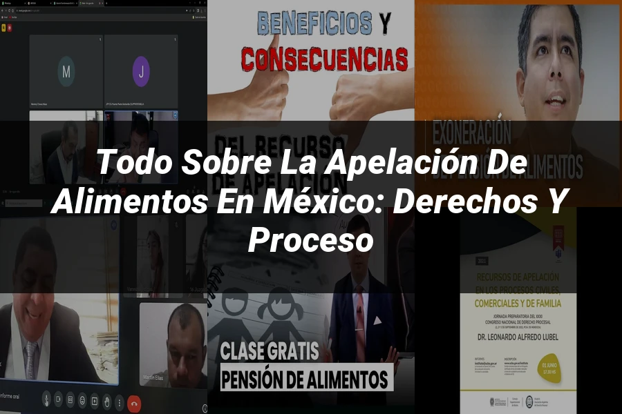 "Todo sobre la Apelación de Alimentos en México: Derechos y Proceso"