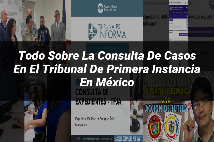 "Todo sobre la Consulta de Casos en el Tribunal de Primera Instancia en México"
