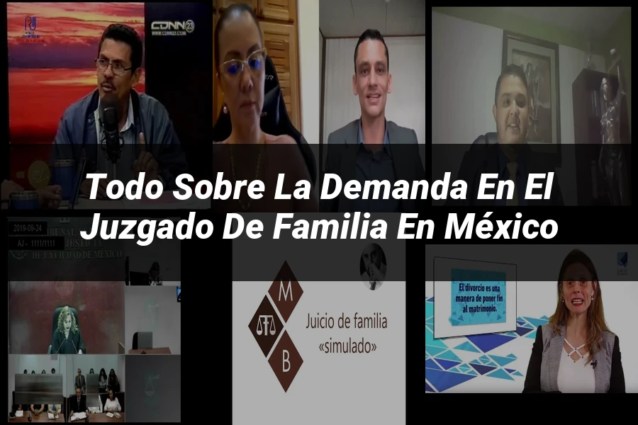 "Todo sobre la Demanda en el Juzgado de Familia en México"
