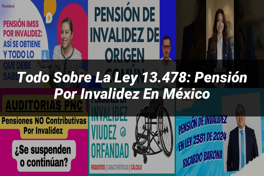 "Todo sobre la Ley 13.478: Pensión por Invalidez en México"