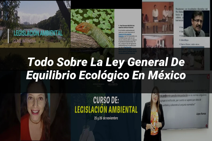 "Todo sobre la Ley General de Equilibrio Ecológico en México"