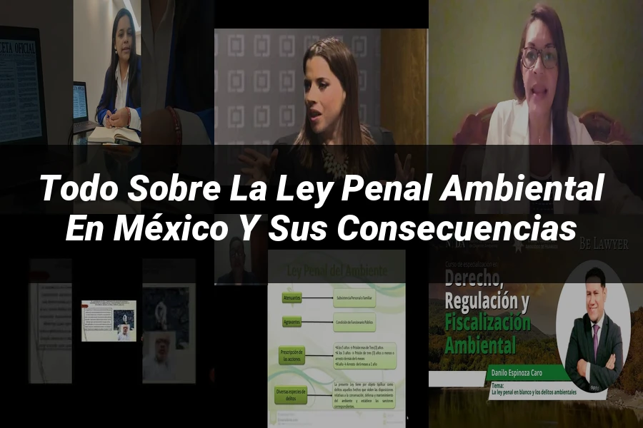 "Todo sobre la Ley Penal Ambiental en México y sus Consecuencias"