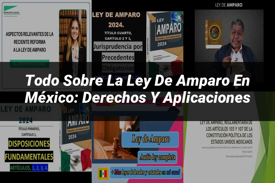"Todo sobre la Ley de Amparo en México: Derechos y Aplicaciones"