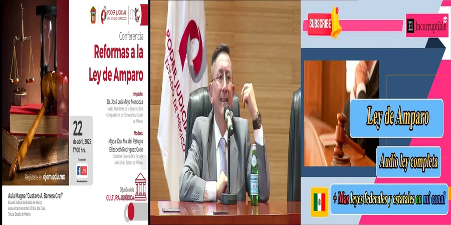 "Todo sobre la Ley de Amparo en México: Derechos y Aplicaciones"