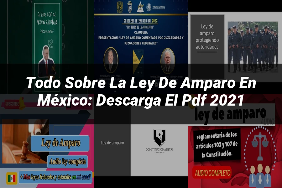 "Todo sobre la Ley de Amparo en México: Descarga el PDF 2021"