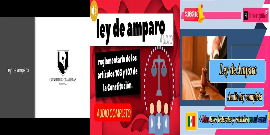 "Todo sobre la Ley de Amparo en México: Descarga el PDF 2021"