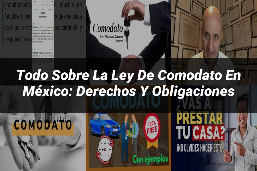 "Todo sobre la Ley de Comodato en México: Derechos y Obligaciones"