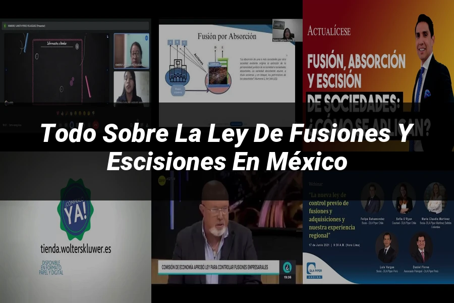 "Todo sobre la Ley de Fusiones y Escisiones en México"