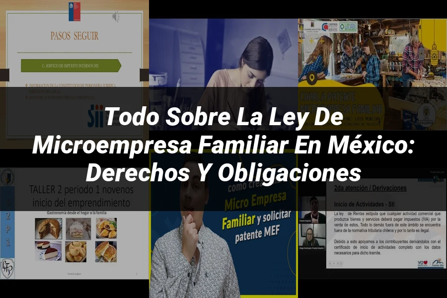 "Todo sobre la Ley de Microempresa Familiar en México: Derechos y Obligaciones"