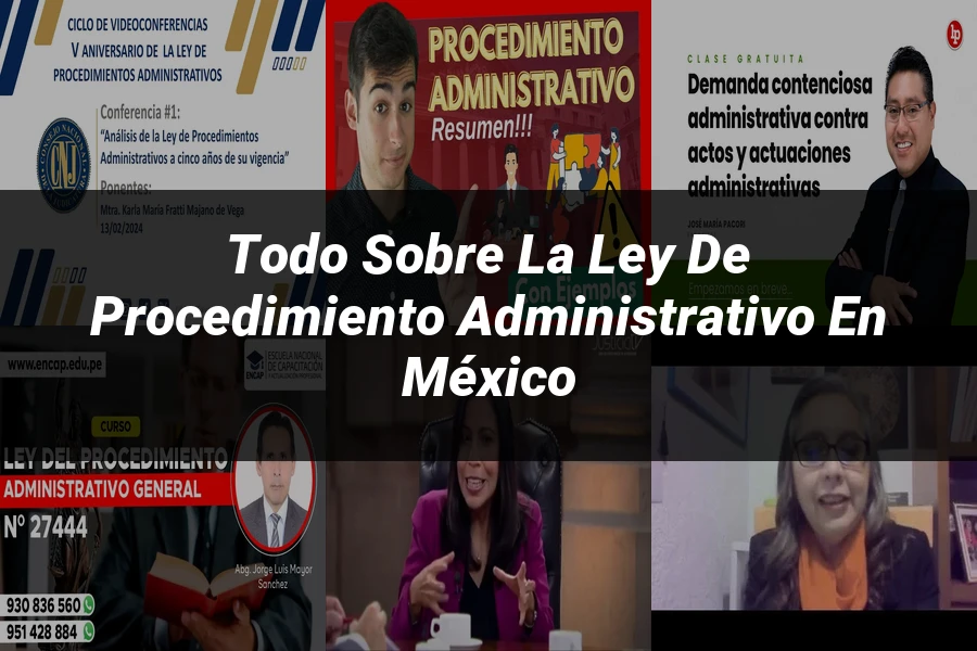 "Todo sobre la Ley de Procedimiento Administrativo en México"
