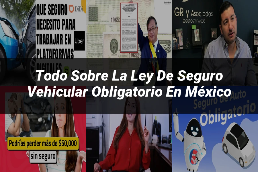 "Todo sobre la Ley de Seguro Vehicular Obligatorio en México"