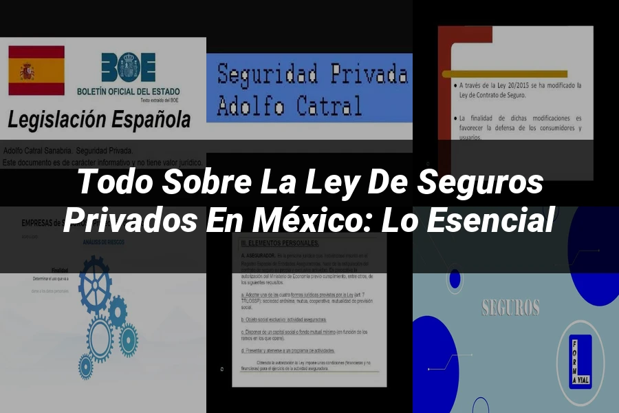 "Todo sobre la Ley de Seguros Privados en México: Lo Esencial"