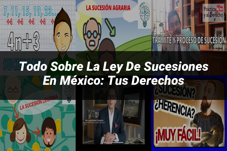 "Todo sobre la Ley de Sucesiones en México: Tus Derechos"