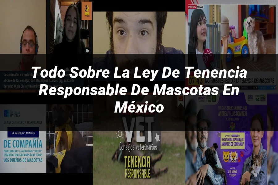"Todo sobre la Ley de Tenencia Responsable de Mascotas en México"