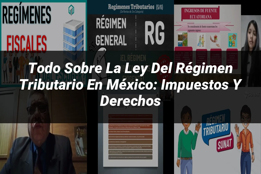 "Todo sobre la Ley del Régimen Tributario en México: Impuestos y Derechos"