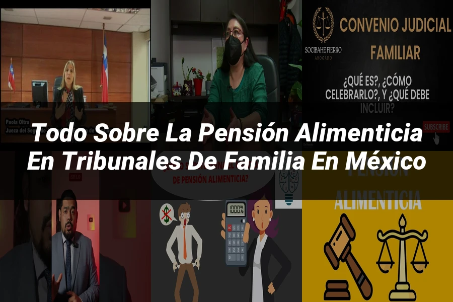 "Todo sobre la Pensión Alimenticia en Tribunales de Familia en México"