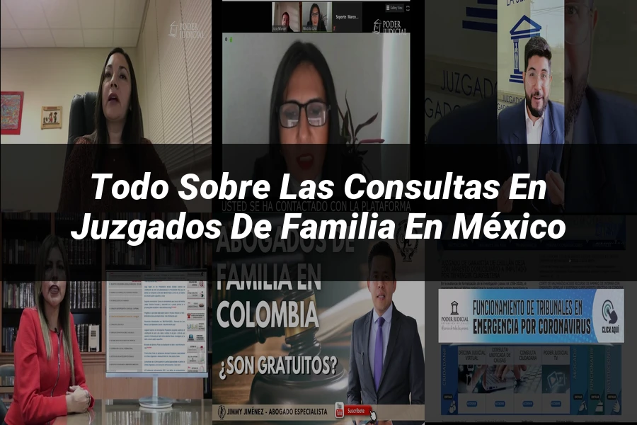 "Todo sobre las Consultas en Juzgados de Familia en México"