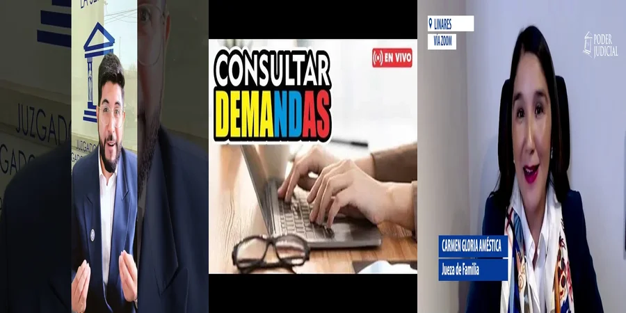 "Todo sobre las Consultas en Juzgados de Familia en México"
