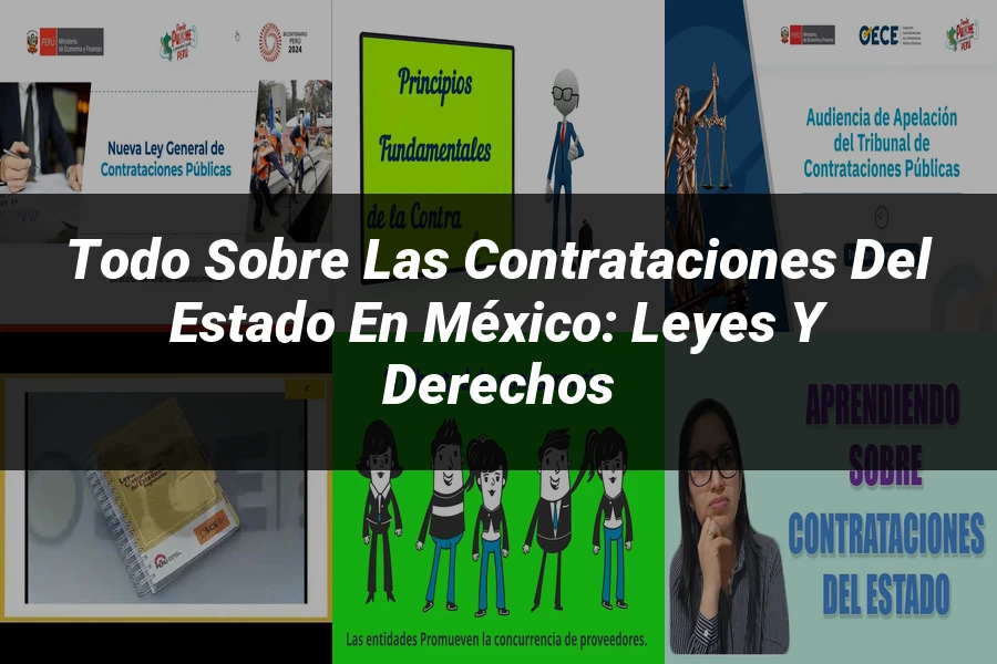 "Todo sobre las Contrataciones del Estado en México: Leyes y Derechos"