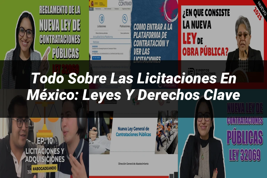 "Todo sobre las Licitaciones en México: Leyes y Derechos Clave"
