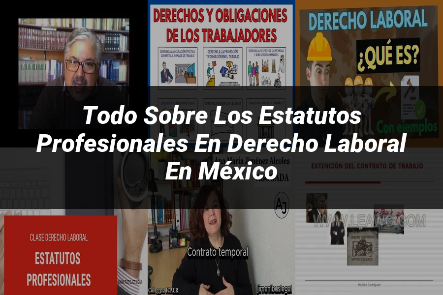 "Todo sobre los Estatutos Profesionales en Derecho Laboral en México"
